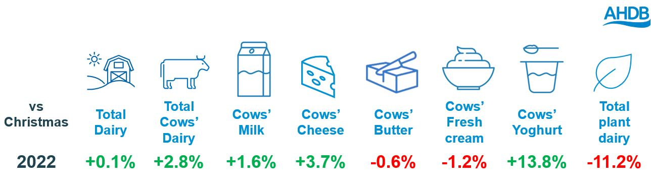Infographic showing the volume change of dairy retail sales Christmas 2023